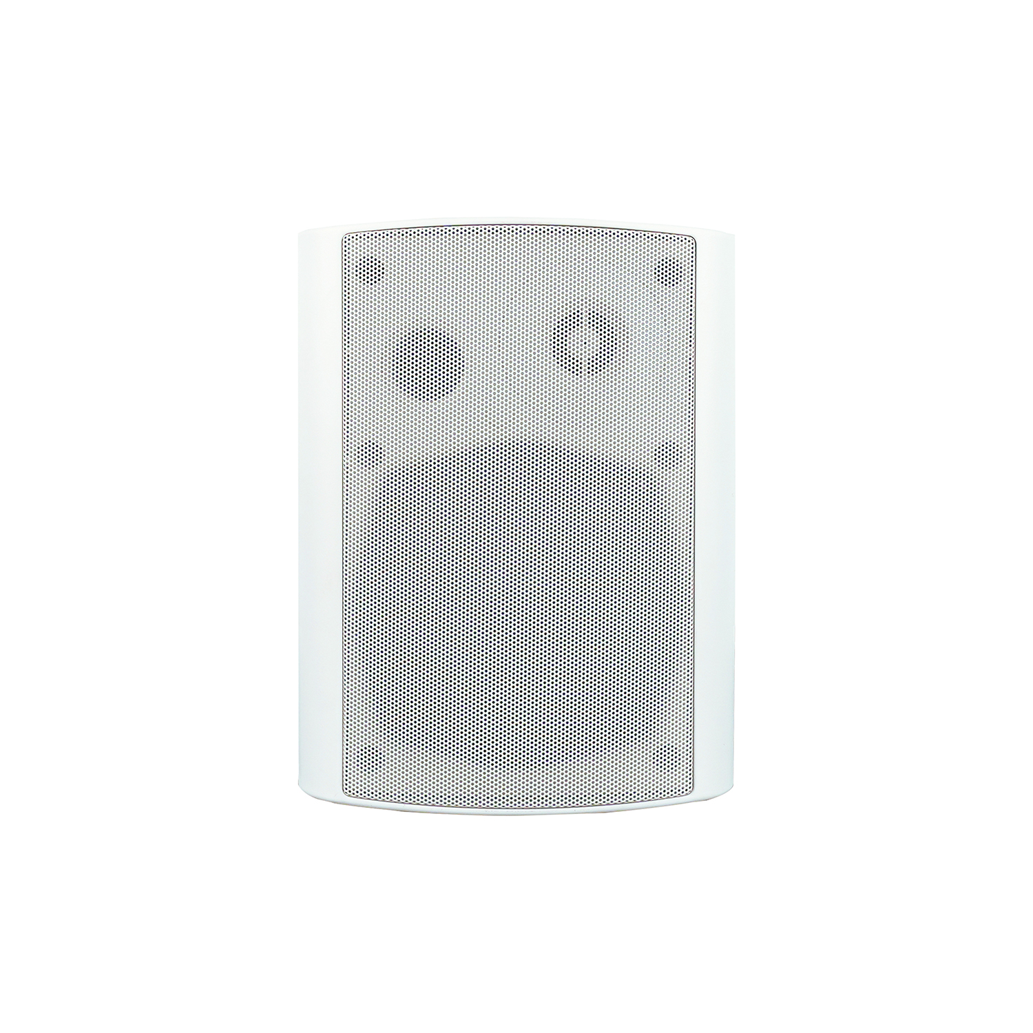 POE網絡壁掛音箱 OBT-POE9806